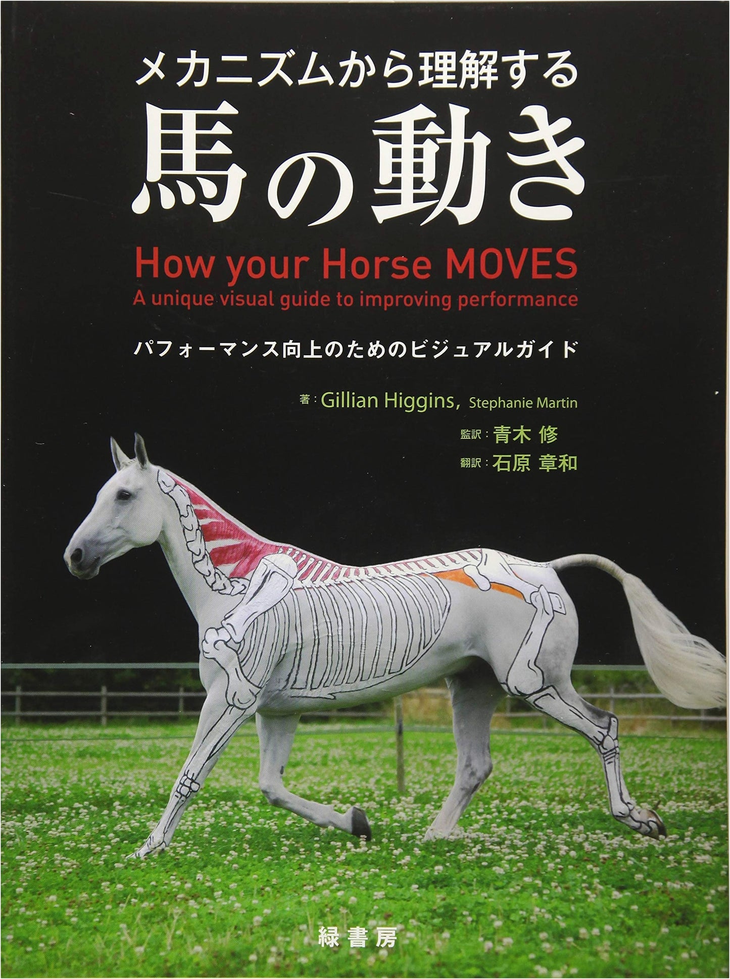 The Mechanics of Horse Movement: A Visual Guide to Performance Enhancement