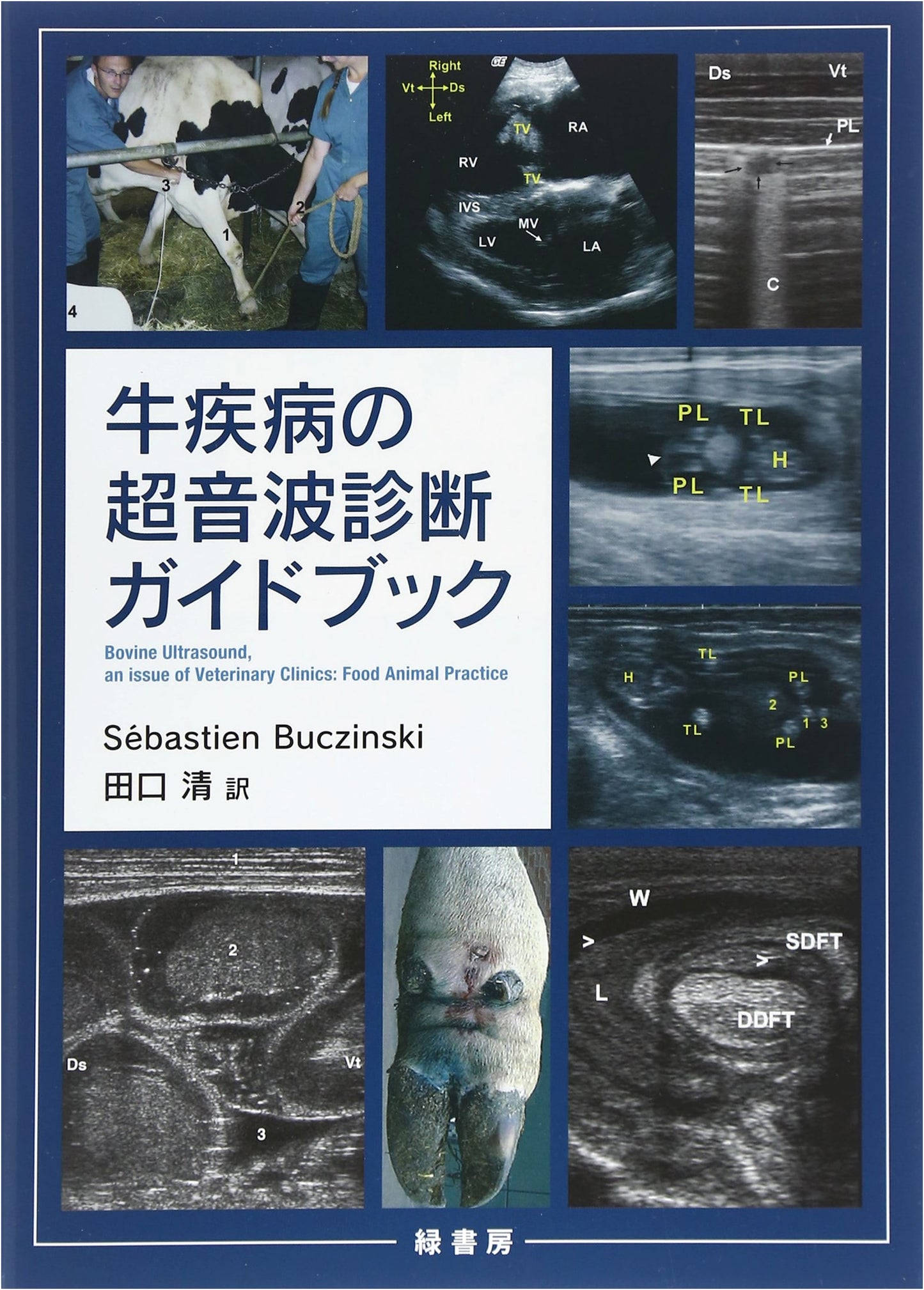 Guidebook for Ultrasound Diagnosis of Cattle Diseases
