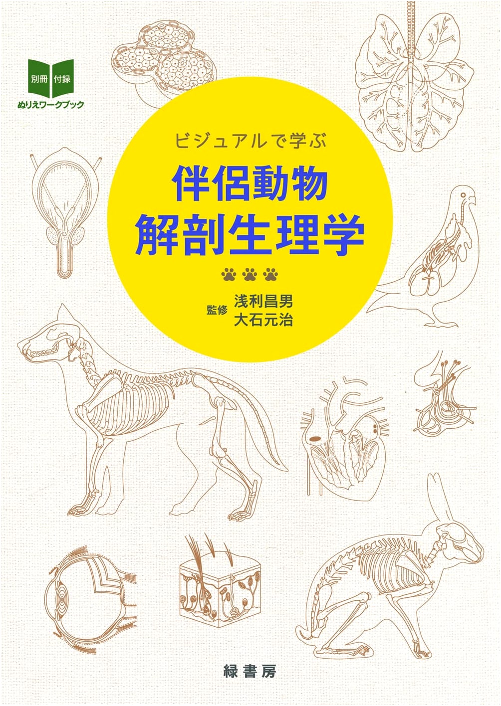Visual Learning: Companion Animal Anatomy and Physiology