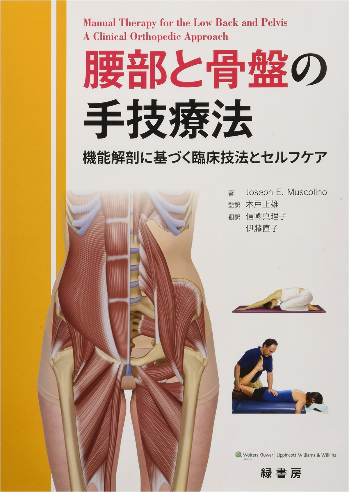 Lumbar & Pelvic Manual Therapy: Clinical Techniques & Self-Care Based on Functional Anatomy