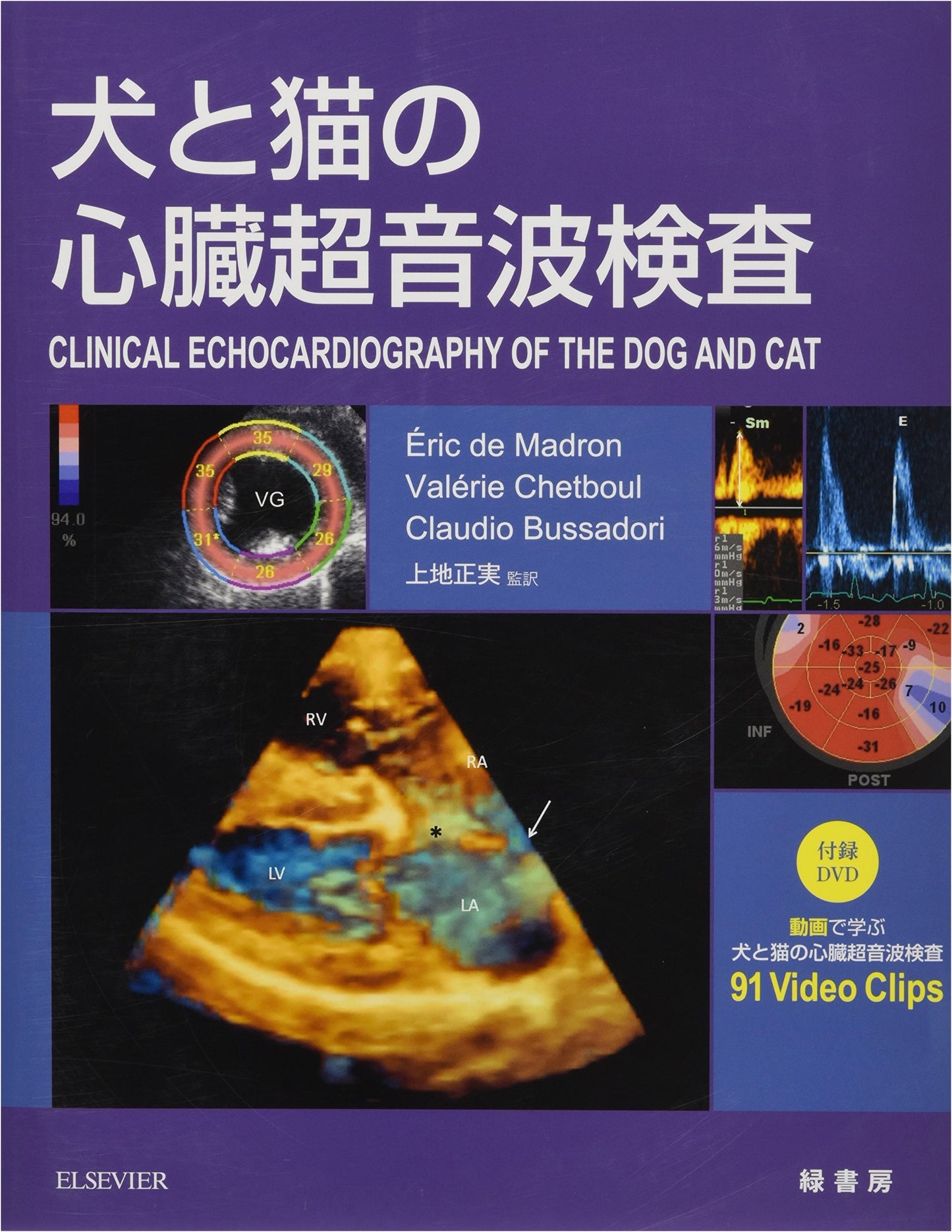 Canine & Feline Cardiac Ultrasound Examination