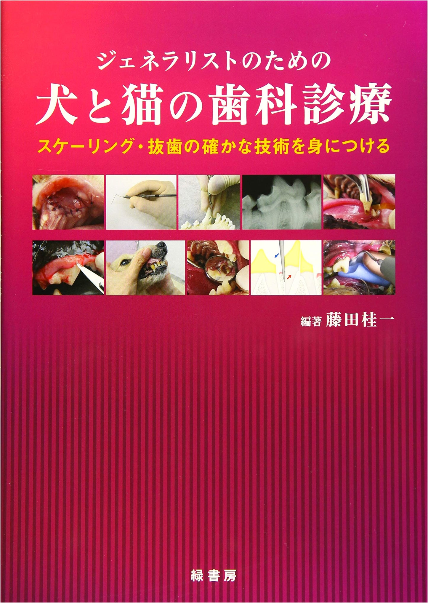Dental Care for Dogs & Cats: Mastering Scaling & Extraction Techniques