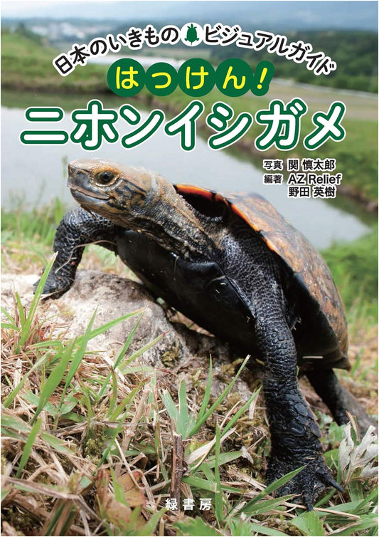 Discover! The Japanese Pond Turtle: A Visual Guide to Japan's Wildlife