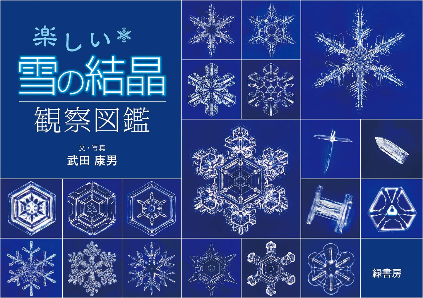 A Fun Guide to Observing Snow Crystals