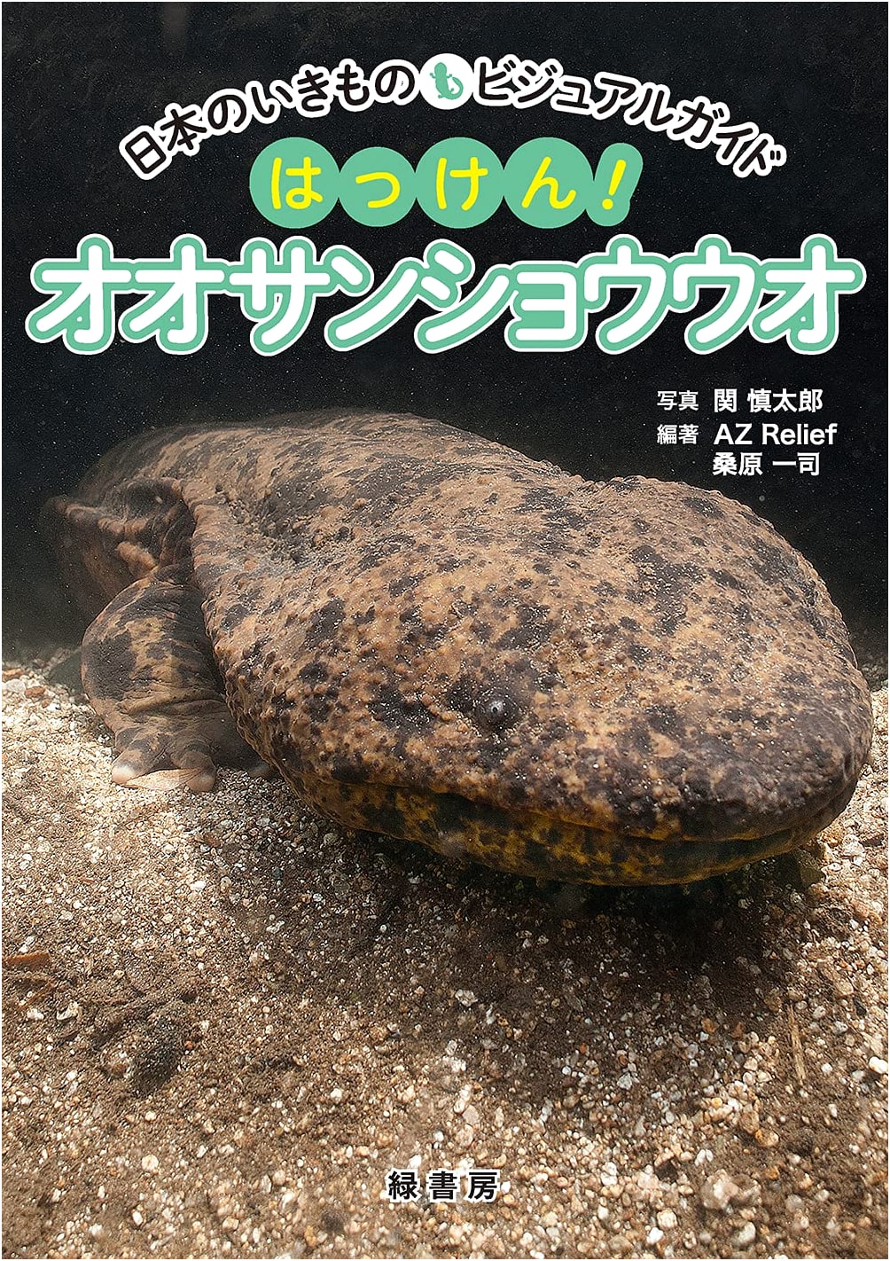 Japanese Creatures Visual Guide: Discovering the Giant Salamander