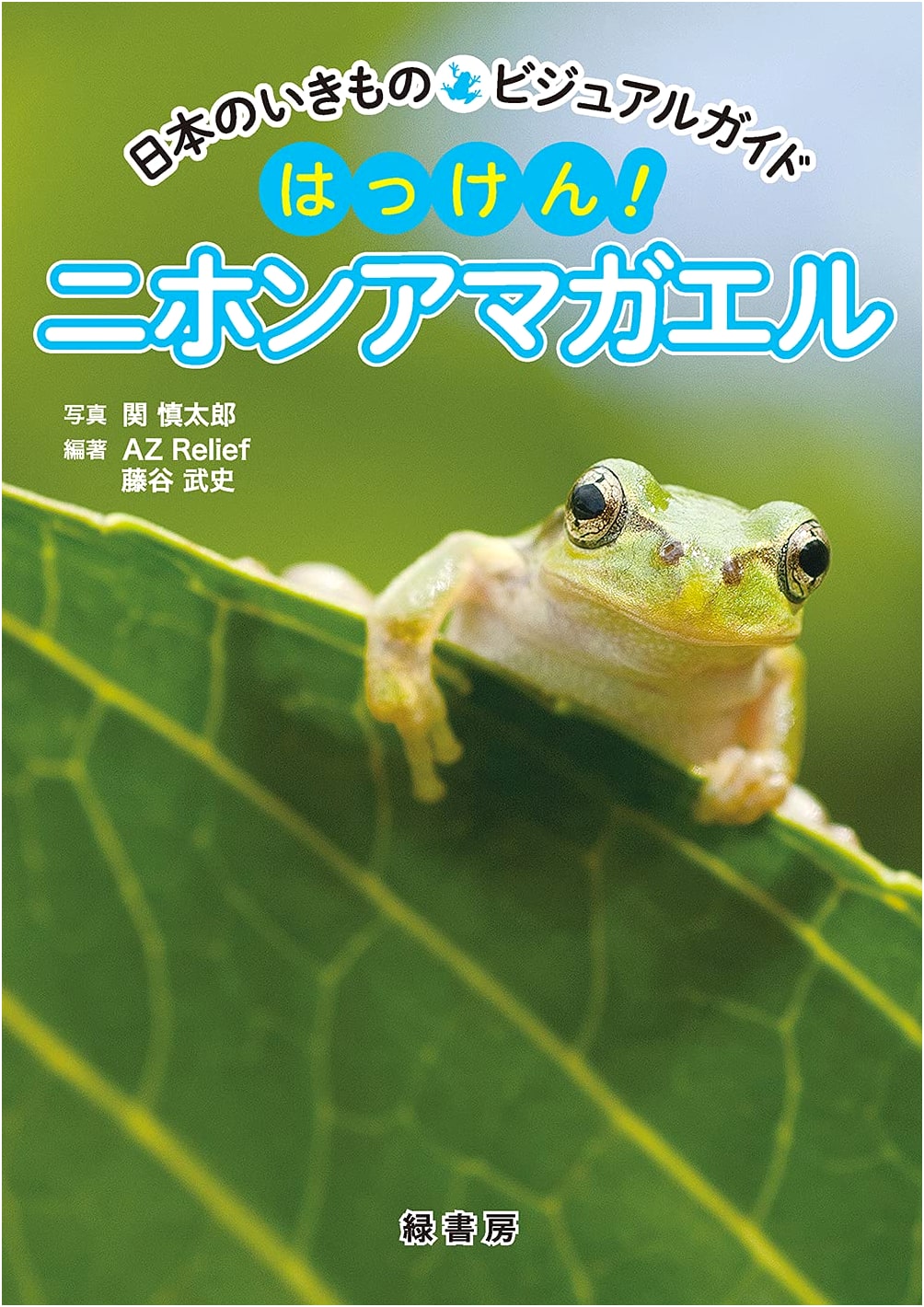 Visual Guide to Japanese Creatures: Discover Japan's Tree Frog