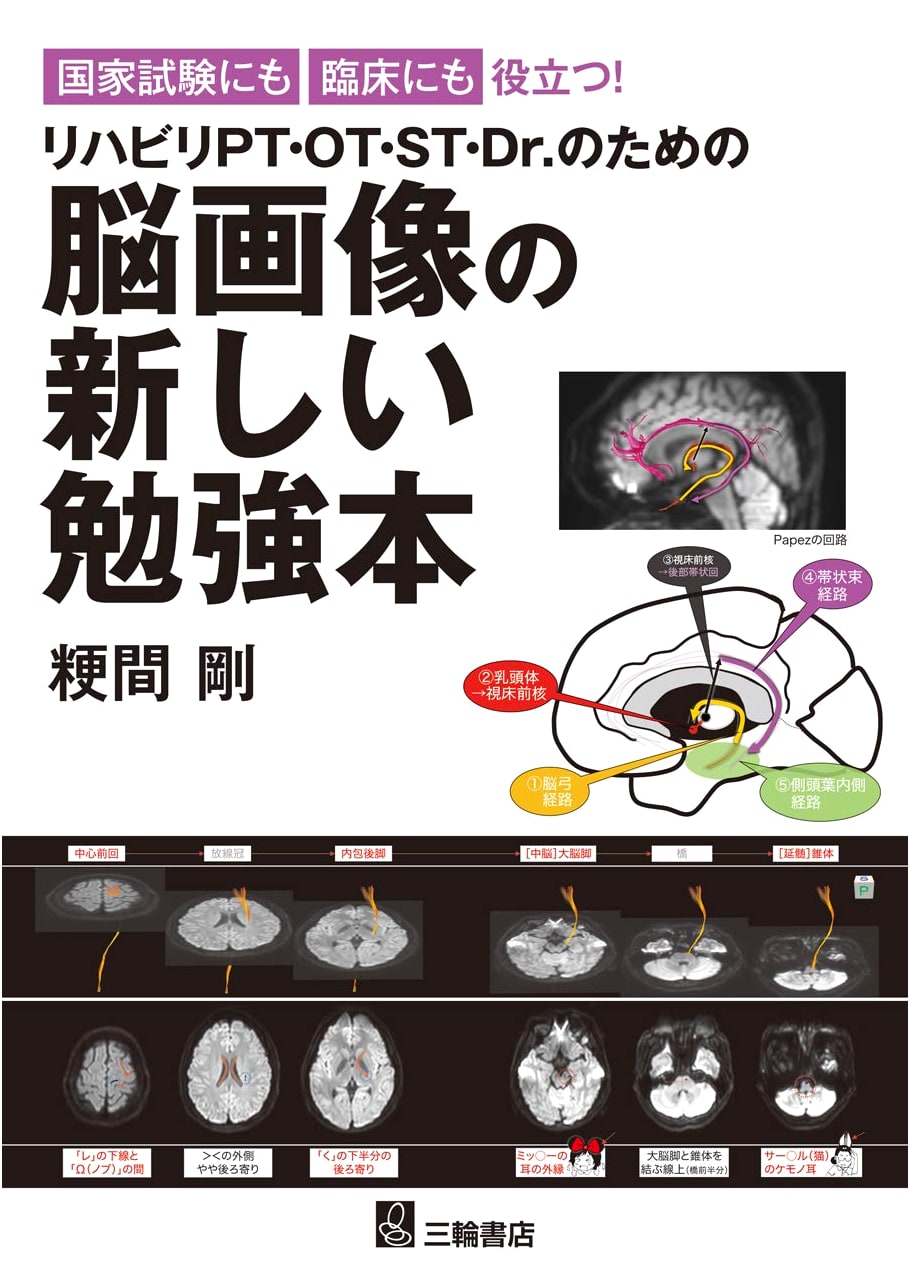 A New Study Guide to Brain Imaging for PT, OT, ST, & Dr.: Essential for National Exams & Clinical Practice