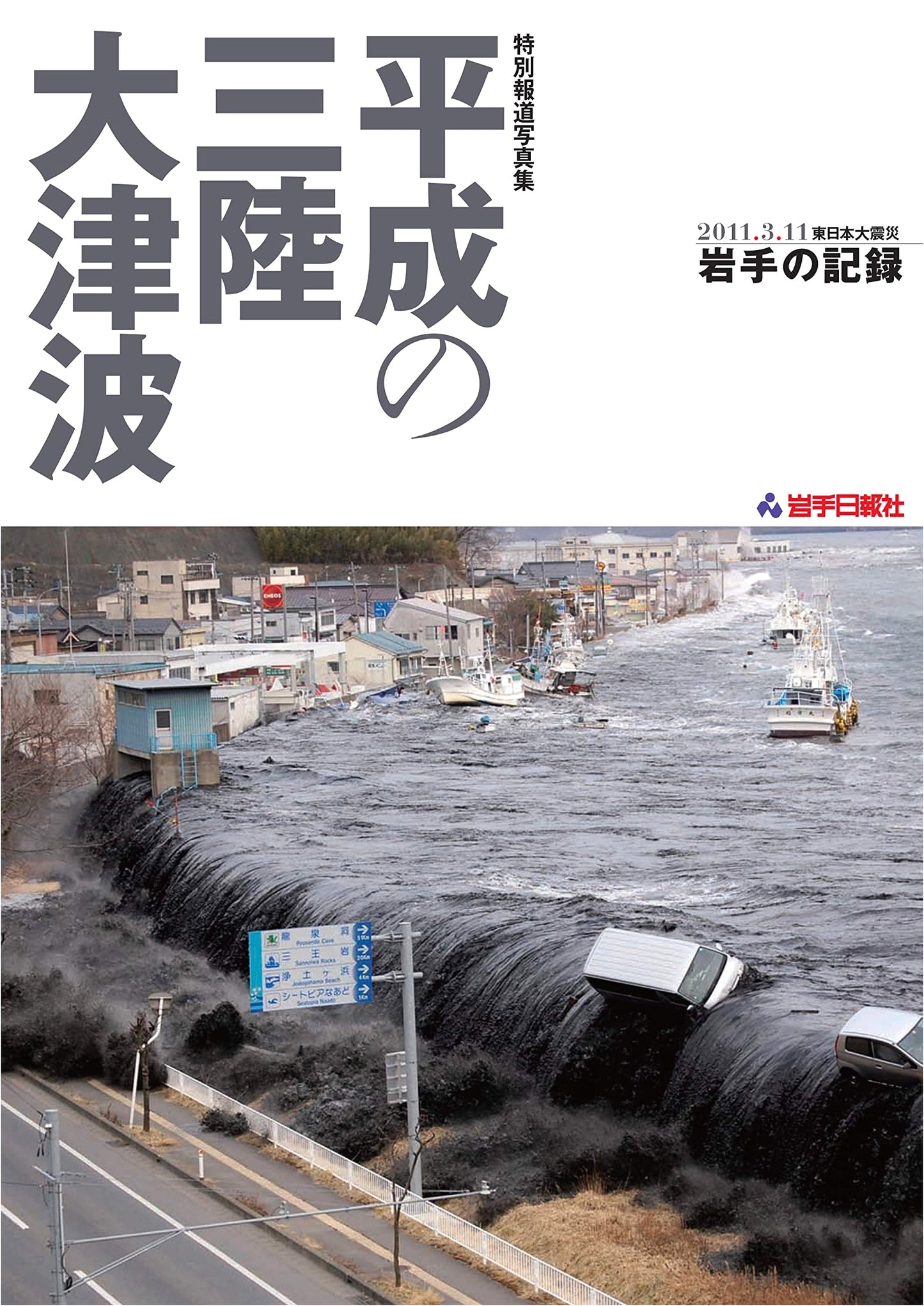 The Great Sanriku Tsunami: A Photo Record of 2011 East Japan Earthquake in Iwate