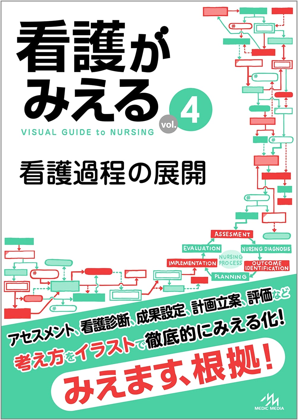 Visualizing Nursing Vol. 4: Development of the Nursing Process, 1st Edition