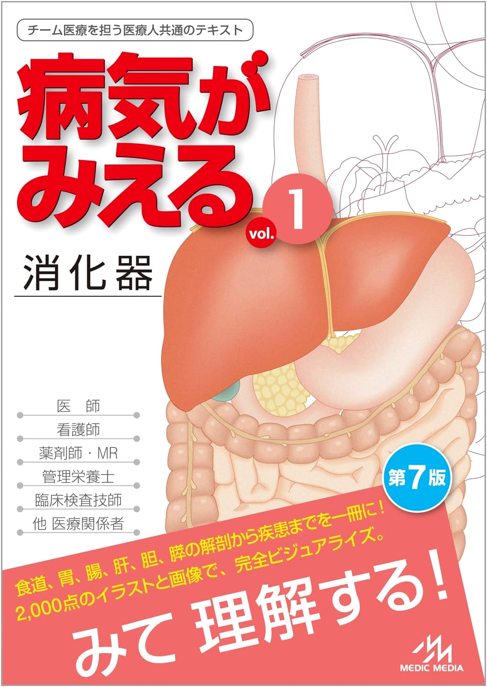 Visual Diagnosis Vol. 1: Digestive System (7th Edition)