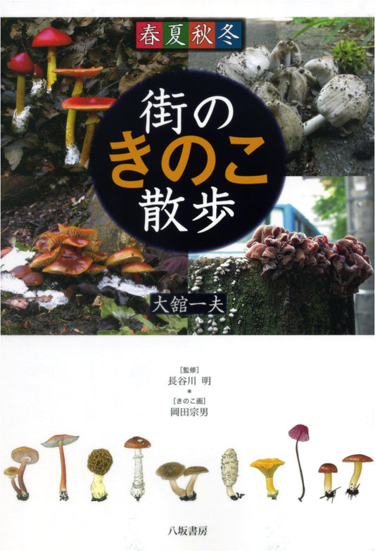 A City Mushroom Walk Through the Four Seasons