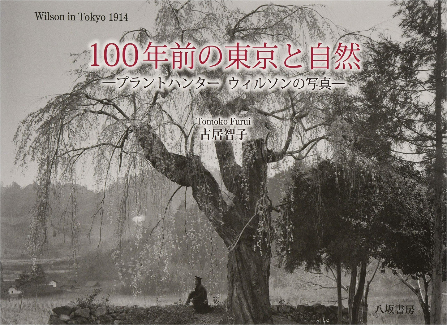 Tokyo and Nature 100 Years Ago: Photographs by Plant Hunter Wilson