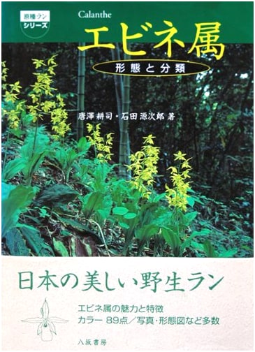 Calanthe Species: Morphology and Classification (Original Orchid Series)