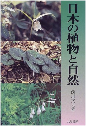 Japanese Plants and Nature