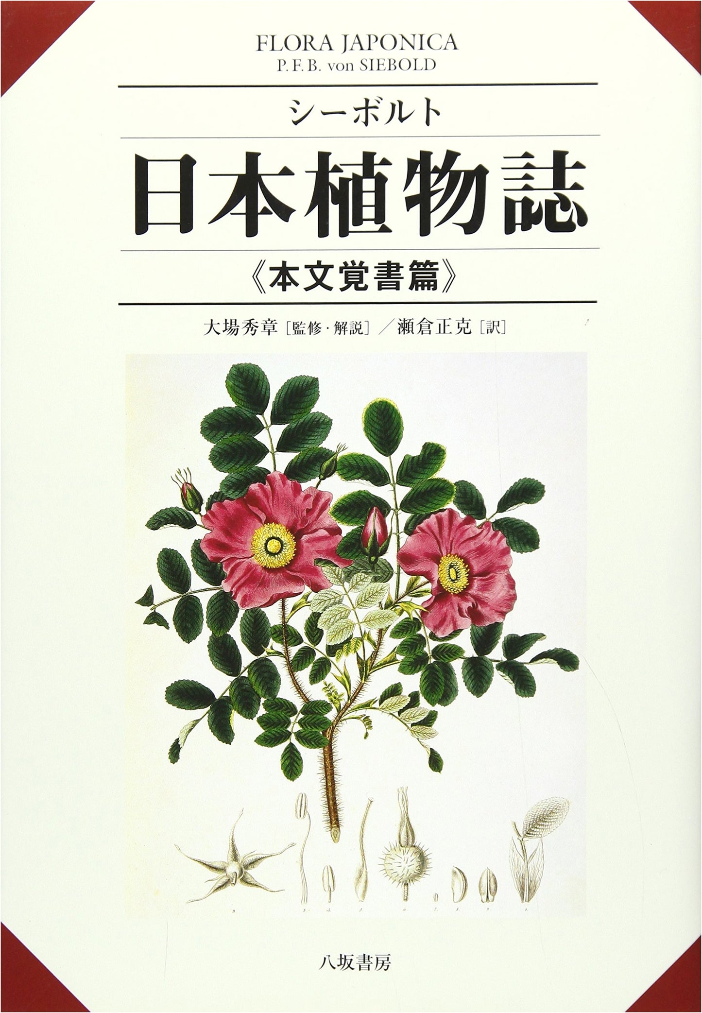Siebold's Flora Japonica: Main Text Notes - Botanical Study
