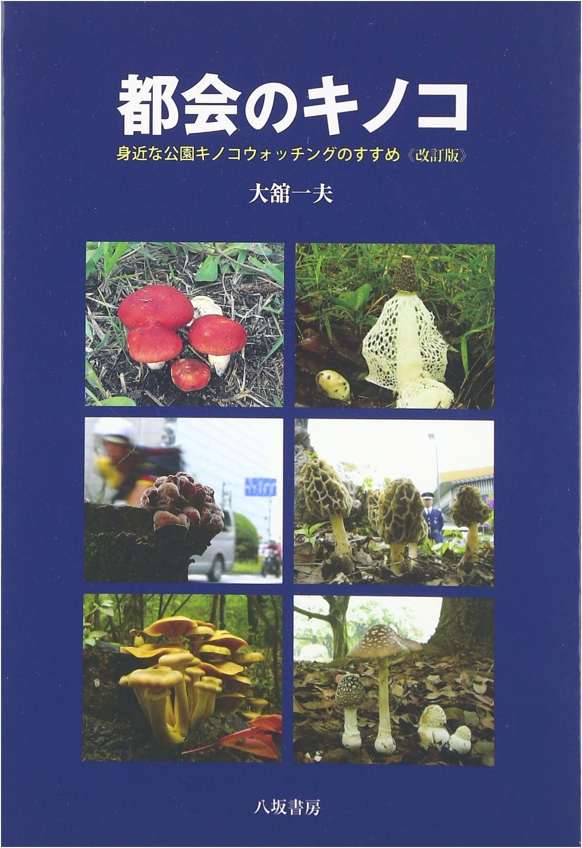 Urban Mushrooms Revised Edition: A Guide to Local Park Mushroom Watching