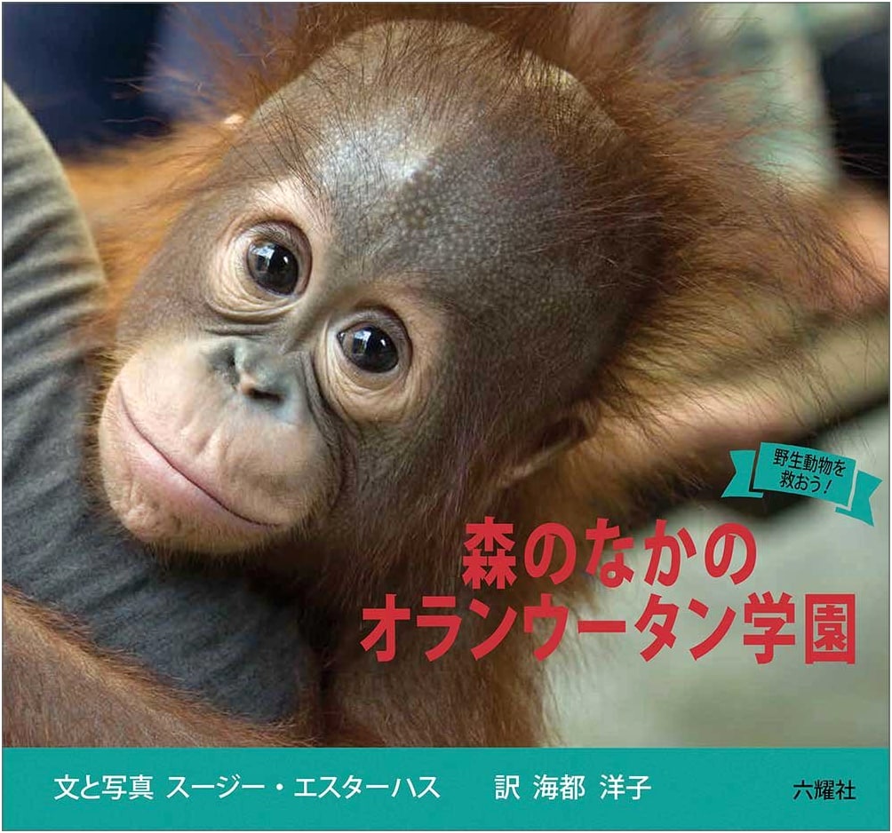 Orangutan Academy in the Forest: Let's Save Wild Animals!