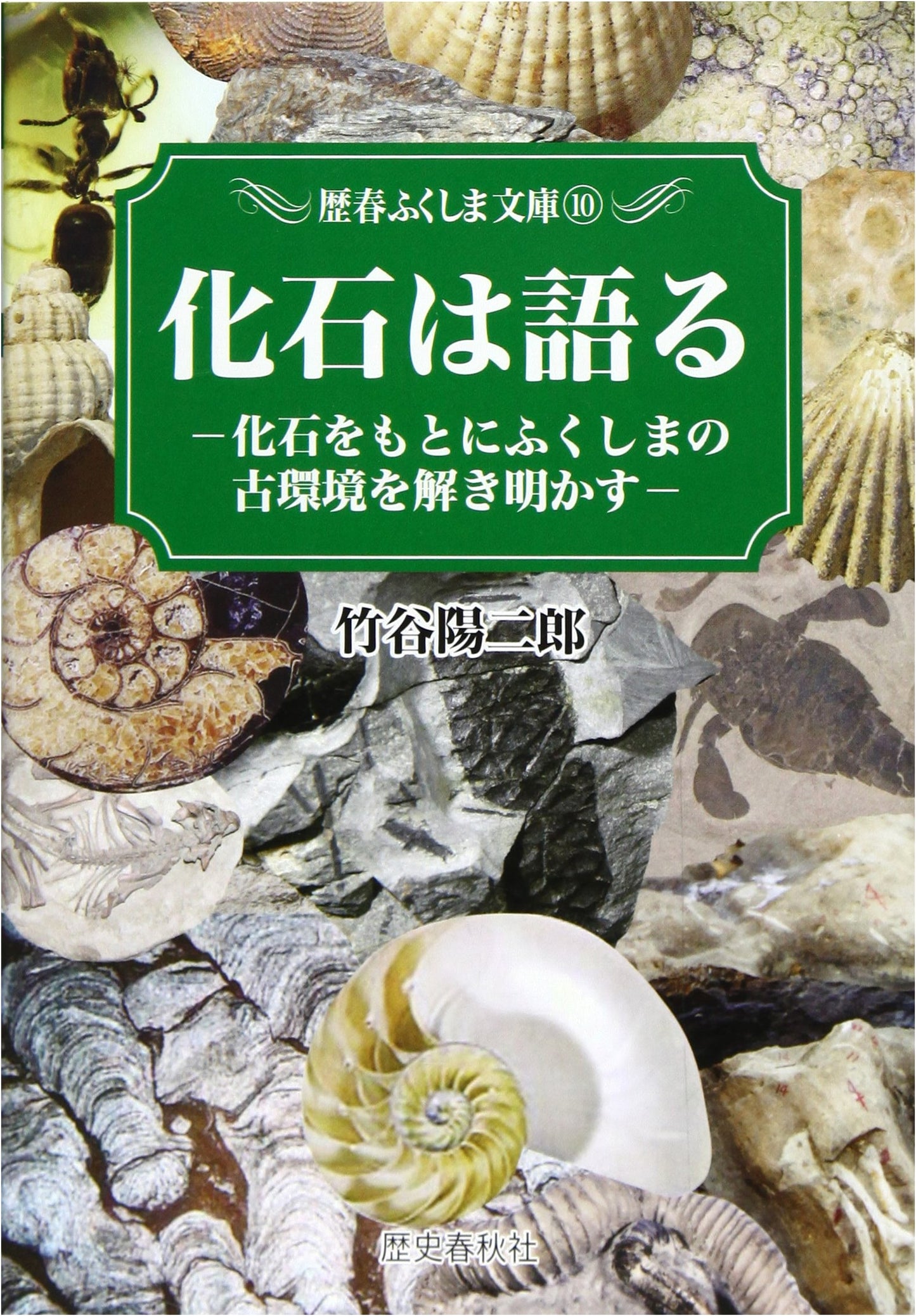 Fossils Speak: Unraveling Fukushima's Ancient Environments