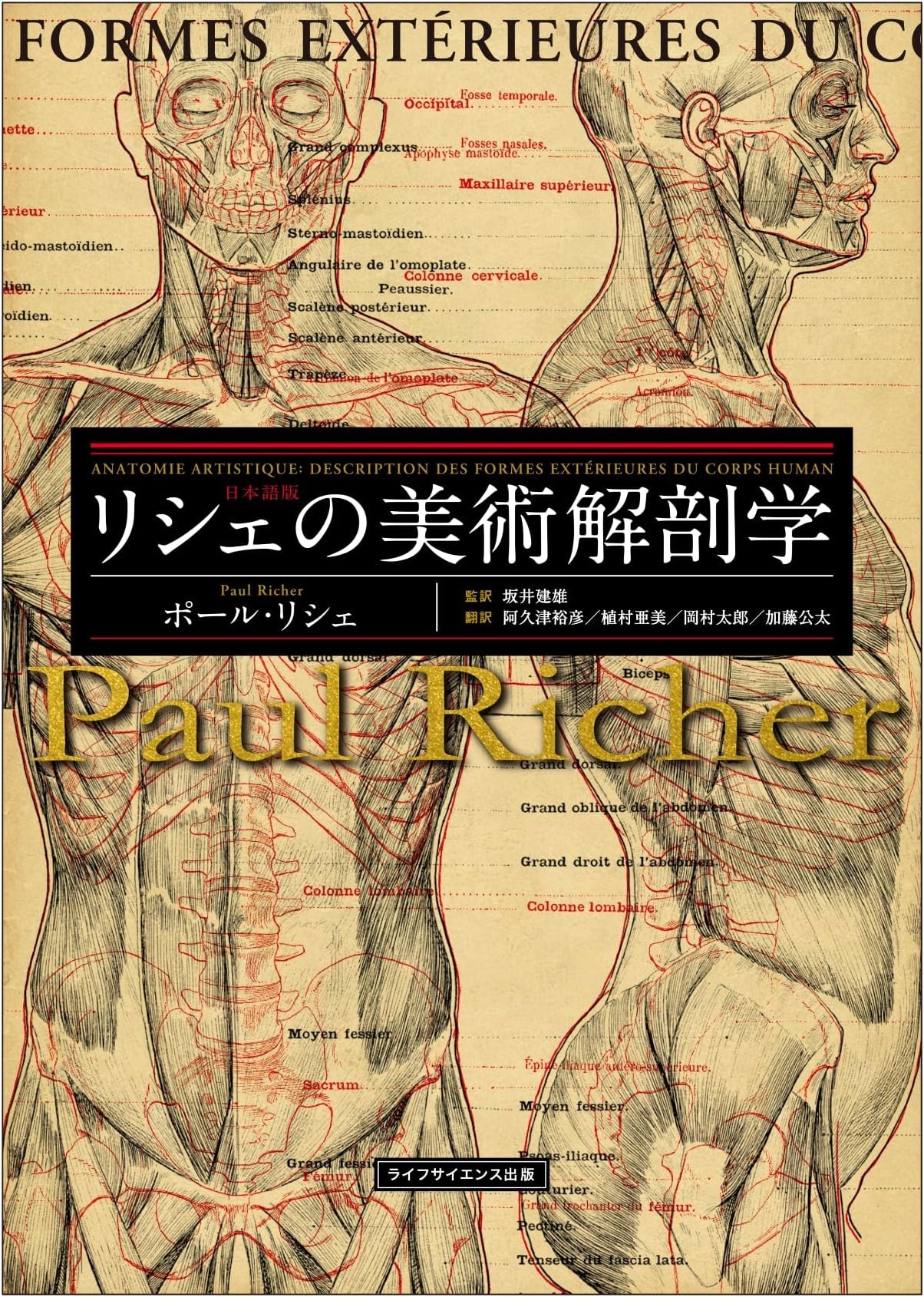 Riche's Art Anatomy