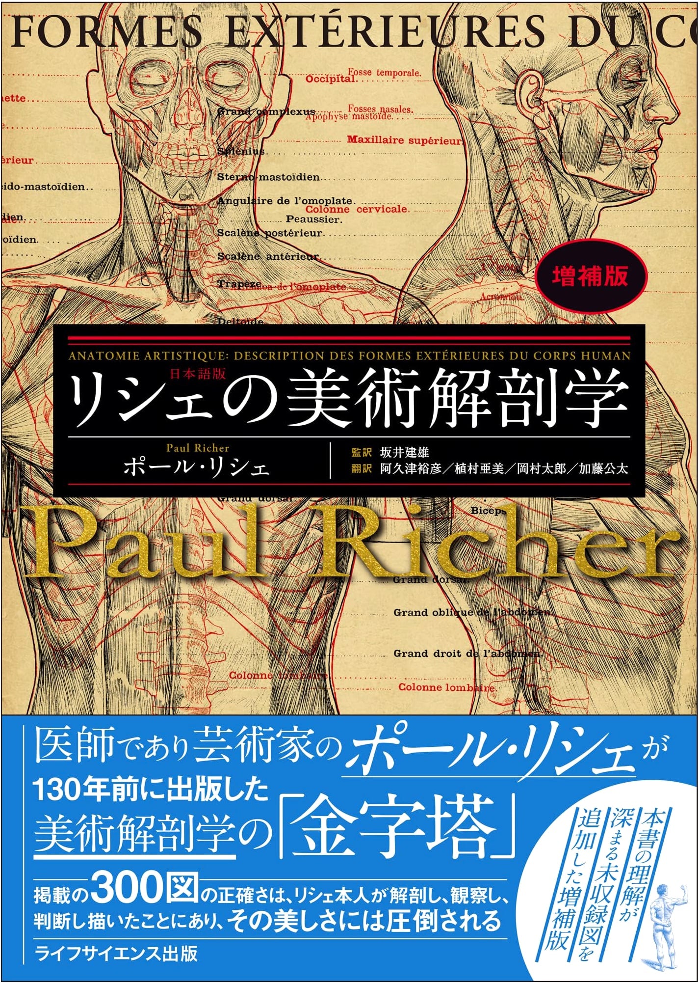 Richter's Artistic Anatomy: Enlarged Edition