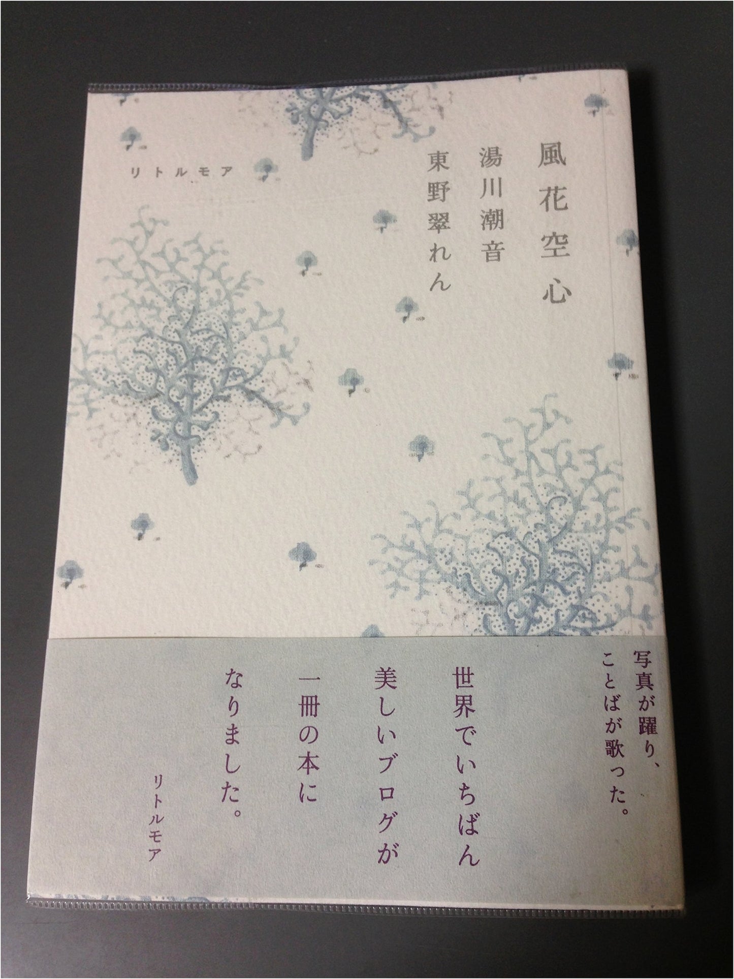 Wind-Blown Snow, Empty Heart by Chione Yukawa