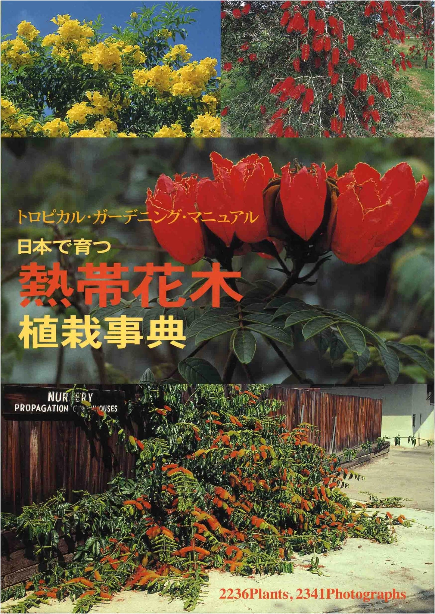 Encyclopedia of Tropical Flowering Trees and Shrubs Grown in Japan