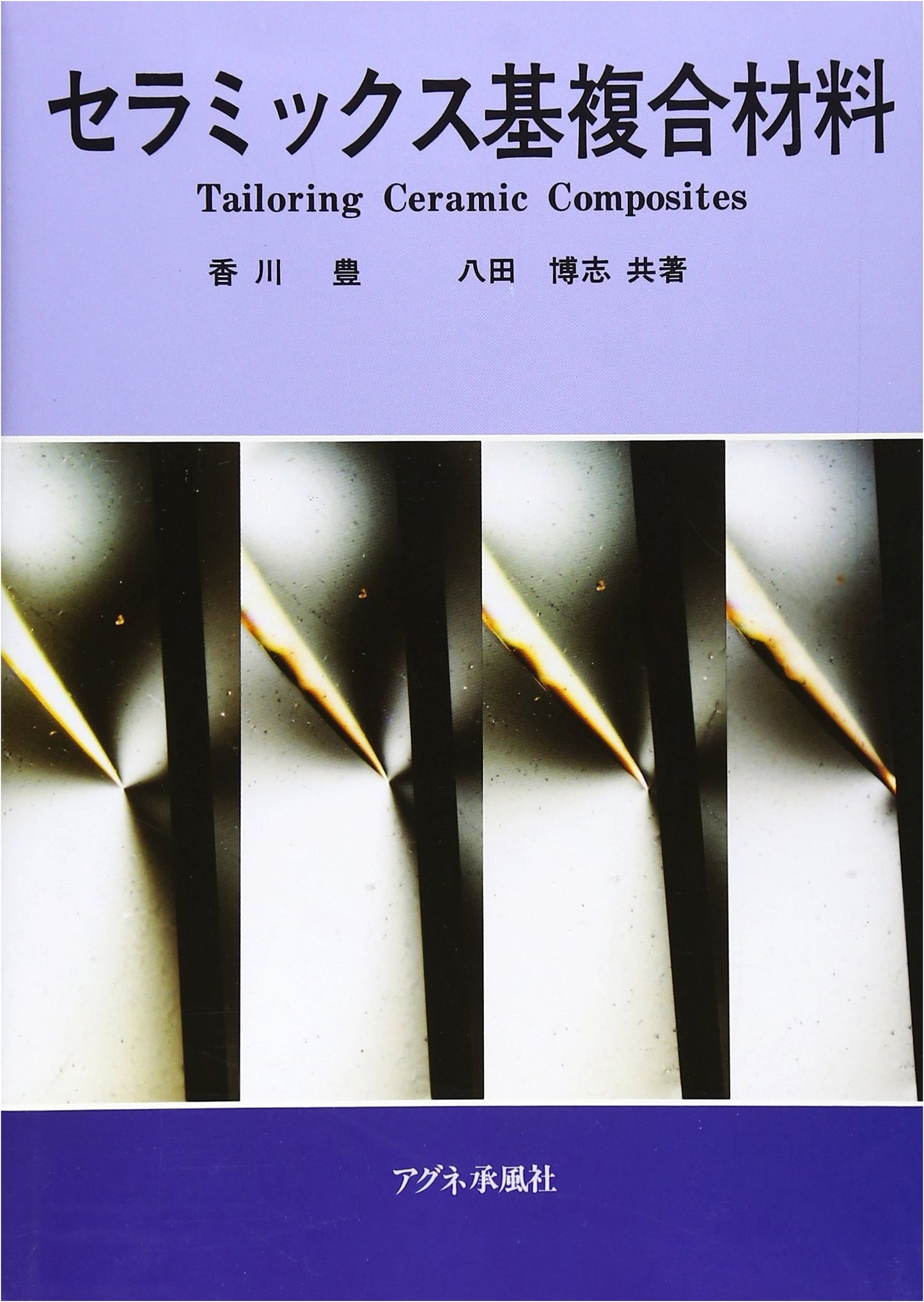 Ceramic Matrix Composites
