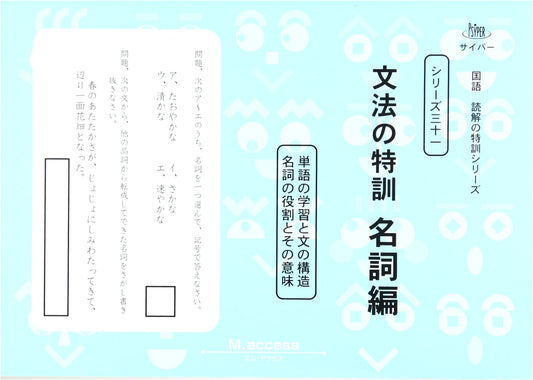 Japanese Reading Comprehension Series 31: Intensive Grammar Training - Noun Edition