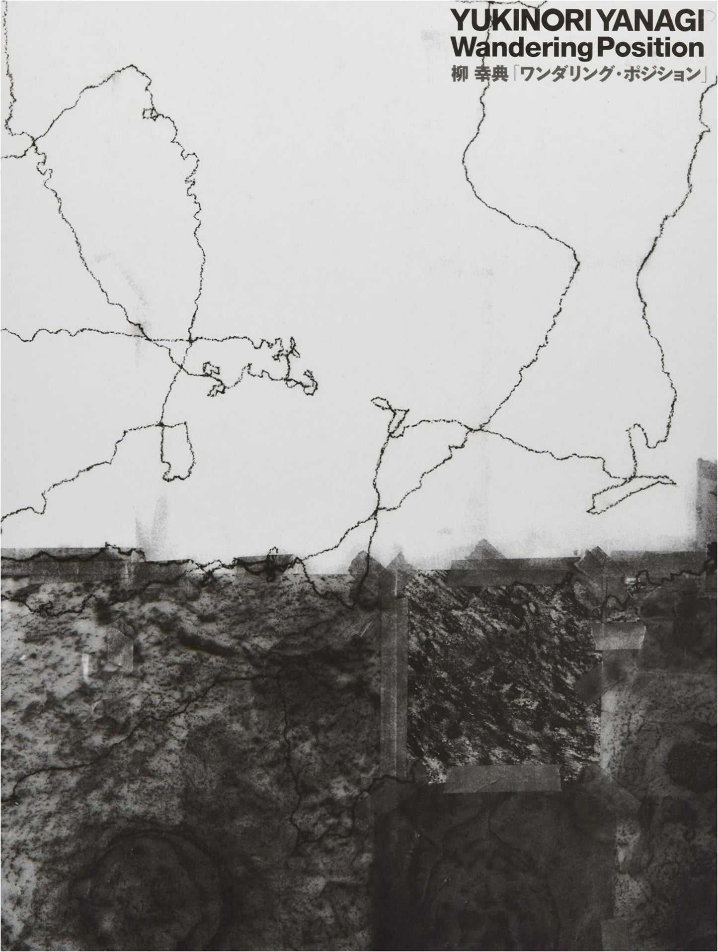 Yukinori Yanagi: Wandering Position - Art Catalog by BankART1929