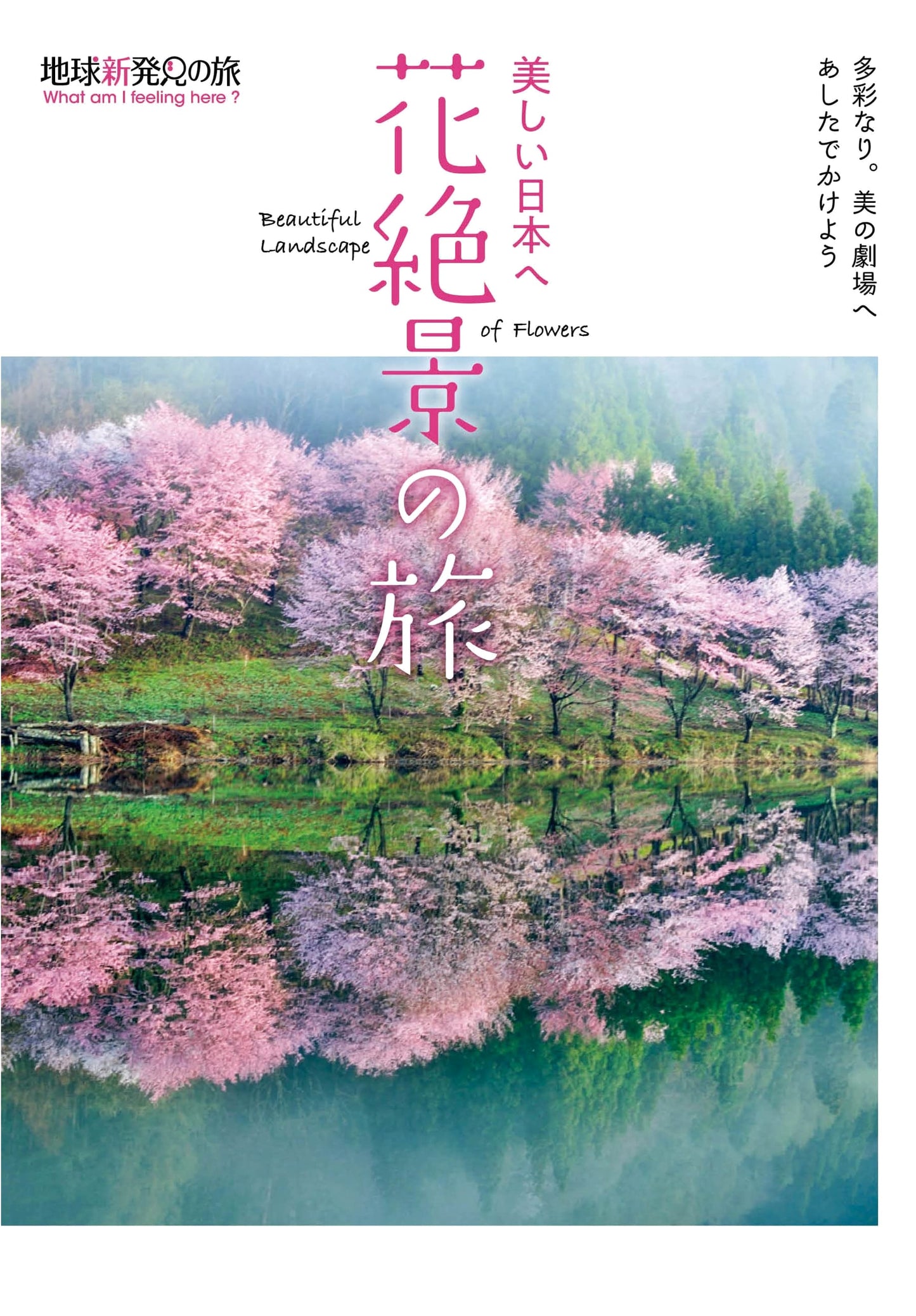 To Beautiful Japan: A Journey Through Stunning Flower Vistas