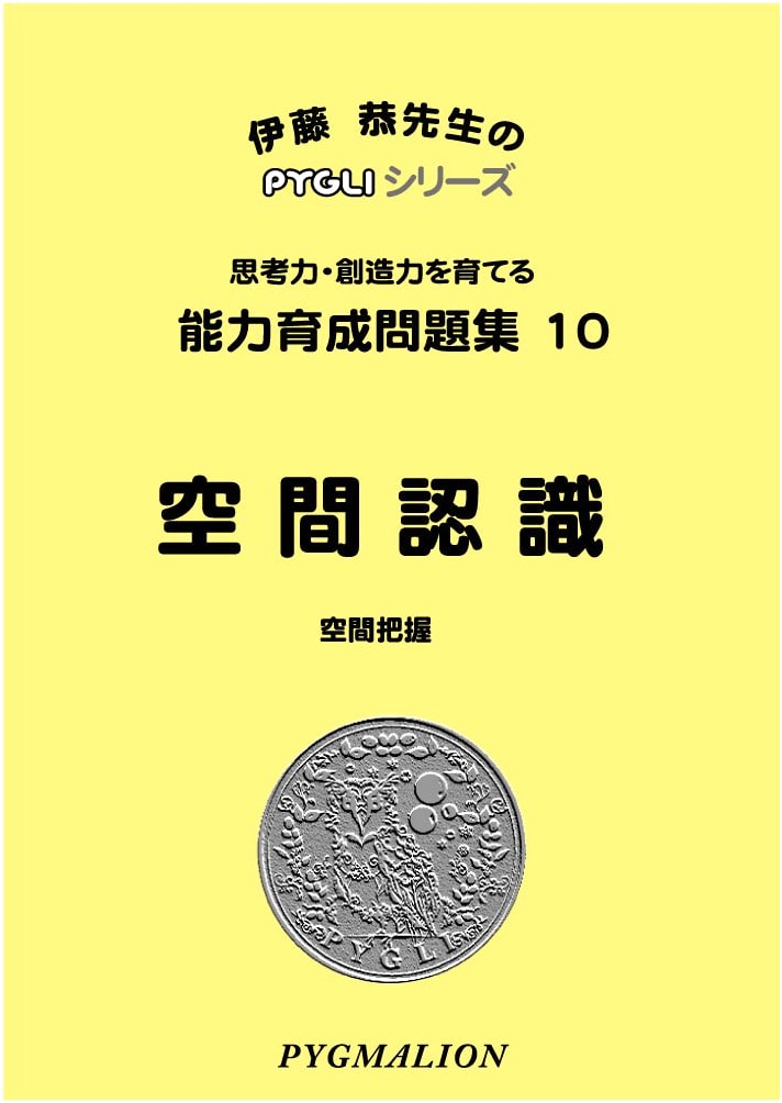 Skill Development Workbook 10: Spatial Recognition (PYGLI Series)