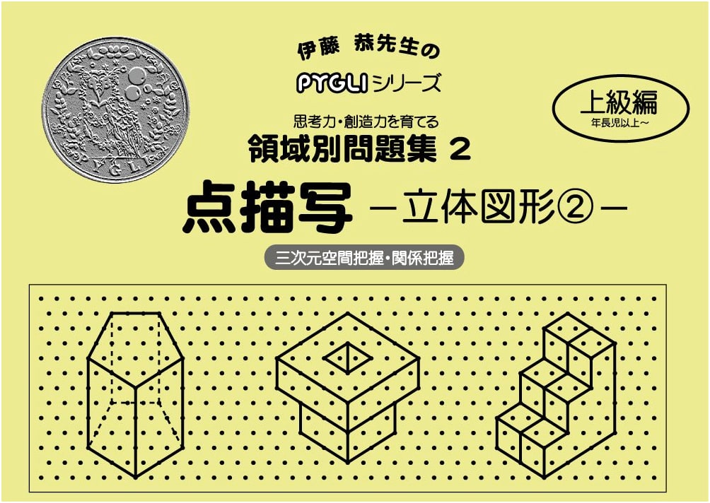PYGLI Series: Area-Specific Problems 02 - Dot Drawing 3D Figures 2 (Elementary School Entrance Exam Prep)