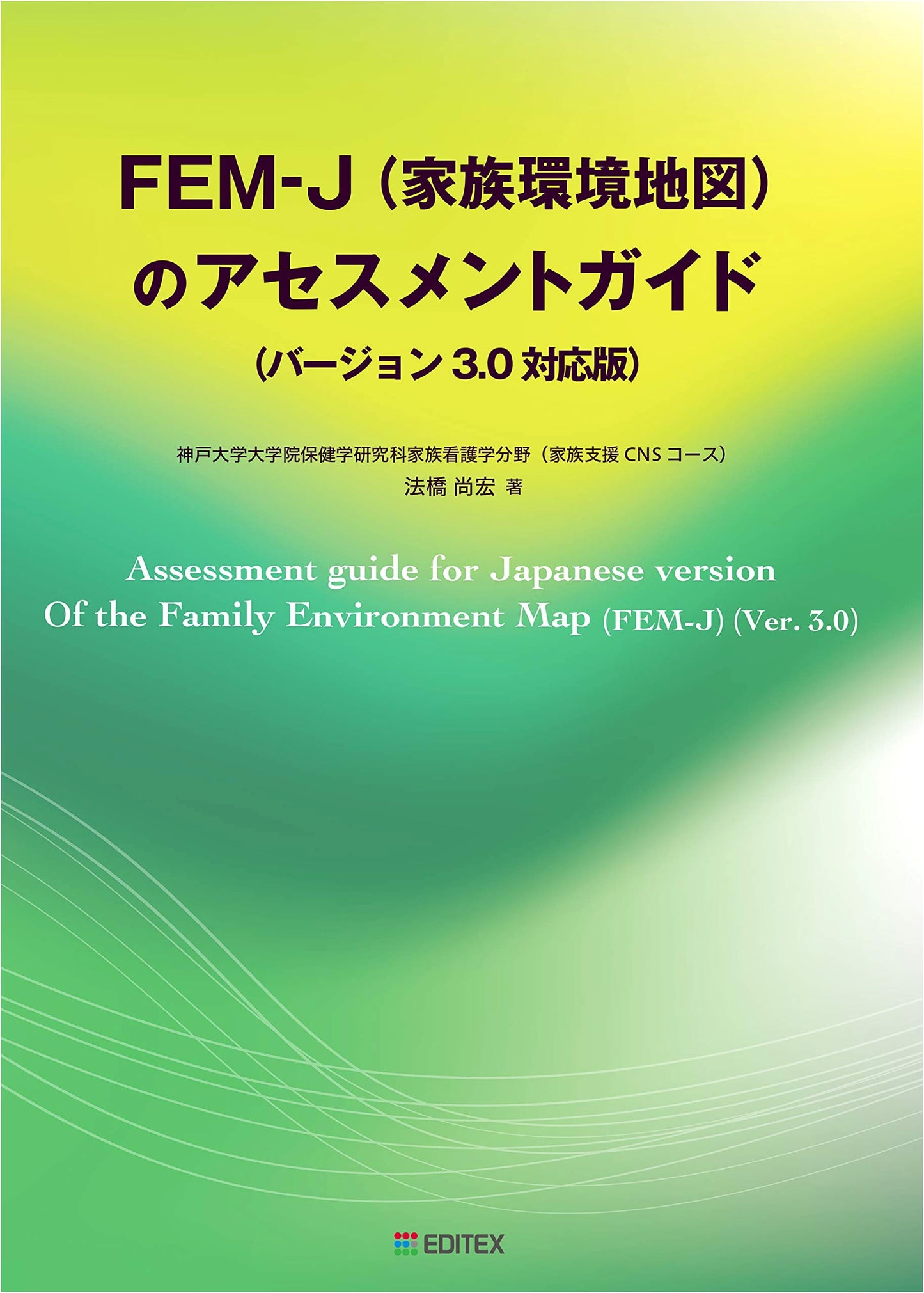 Assessment Guide for FEM-J (Family Environment Map), Version 3.0