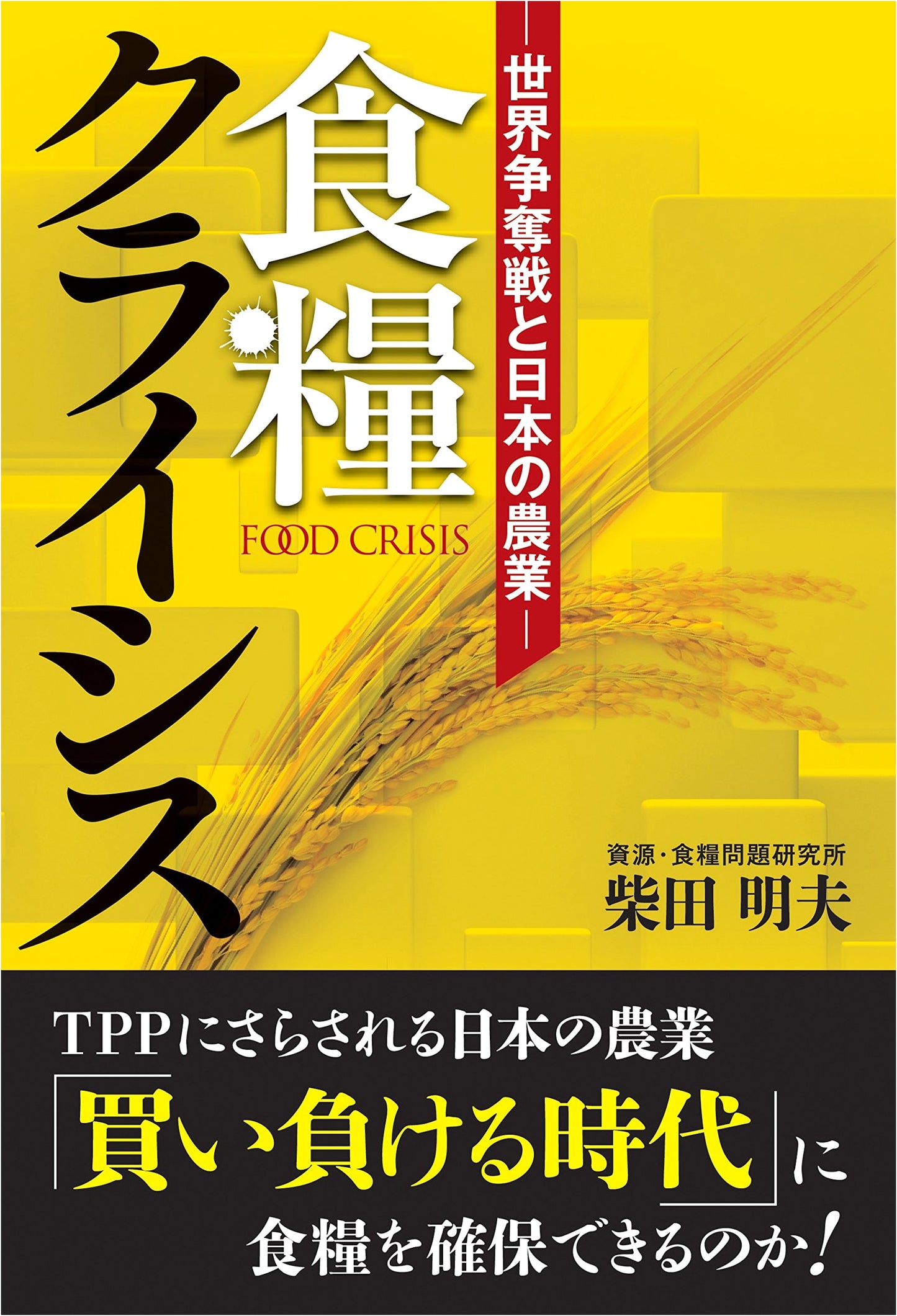 The Global Food Crisis: Competition and Japan's Agricultural Future