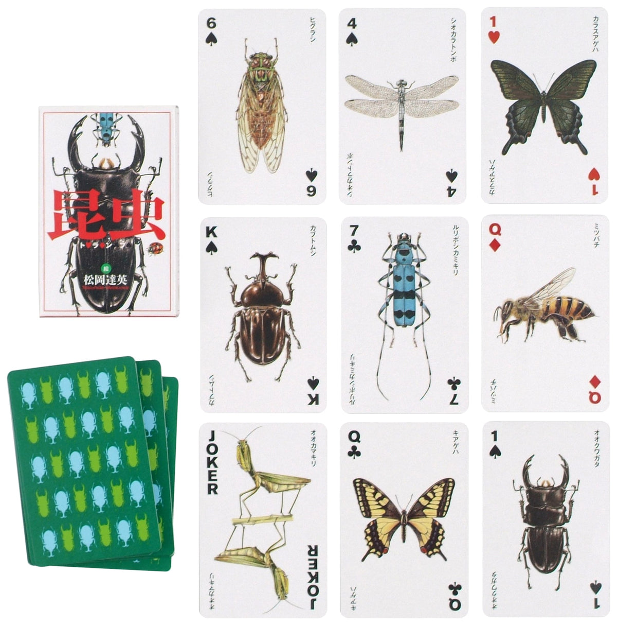Insect Playing Cards (Variety)