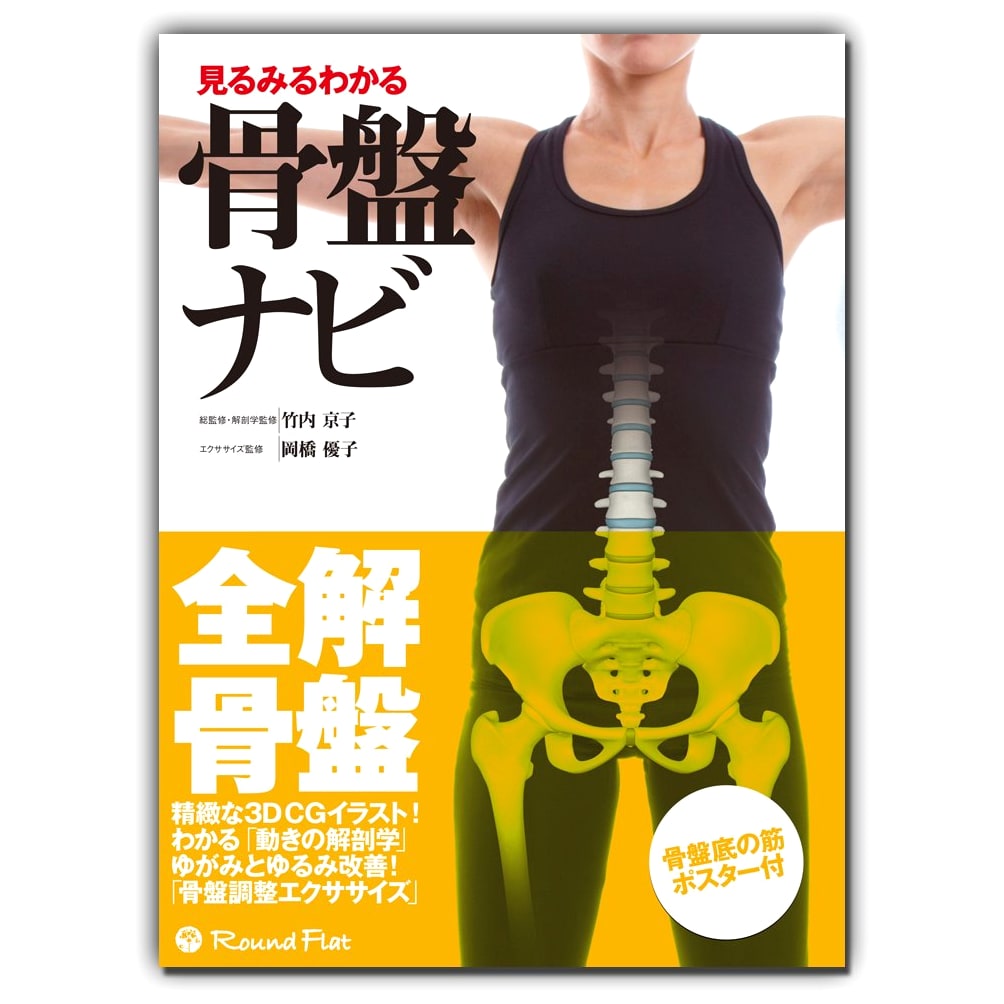 Rapid Understanding: Your Pelvis Navigation Guide