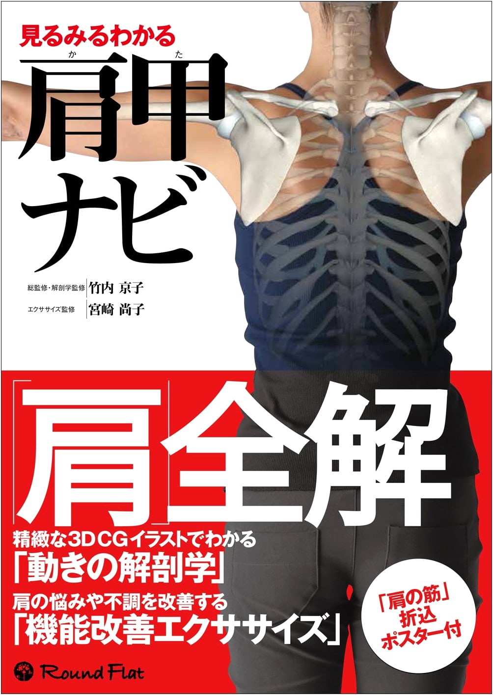 Visual Guide to Understanding the Scapula: A Comprehensive Navigation