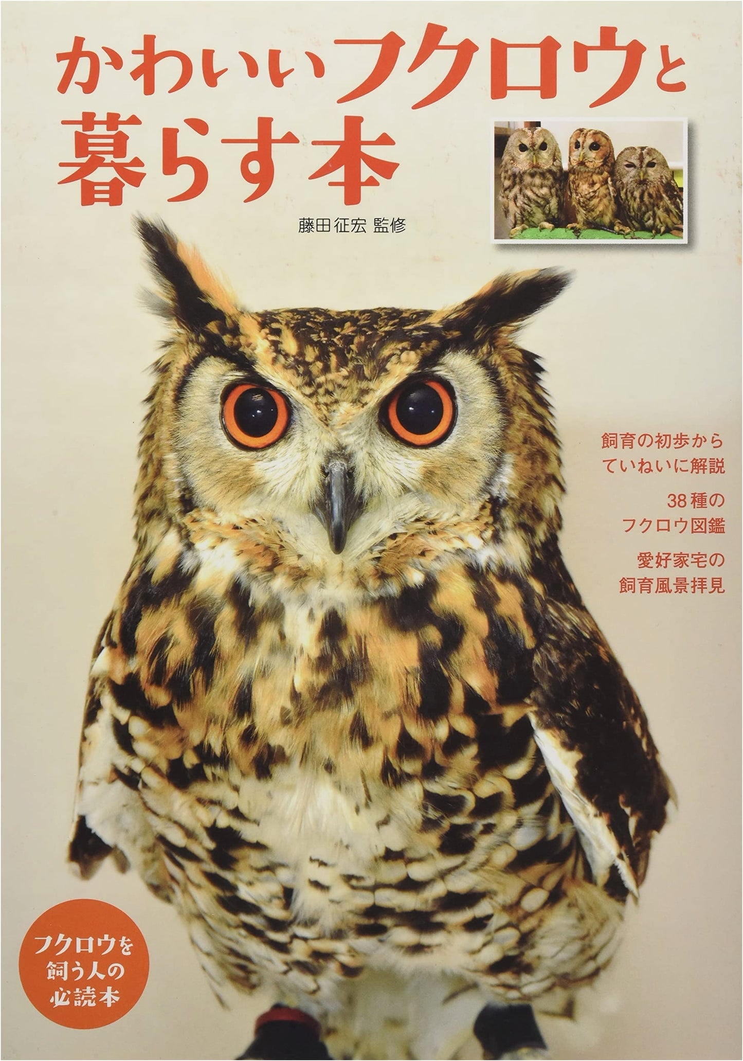 Living with Adorable Owls: An Aqua Life Book