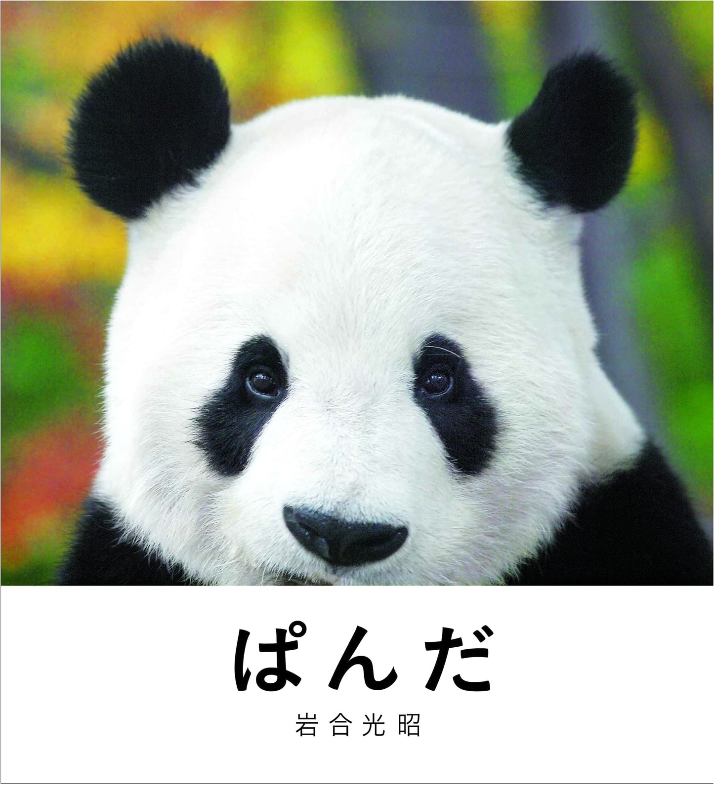 Panda by Mitsuaki Iwago