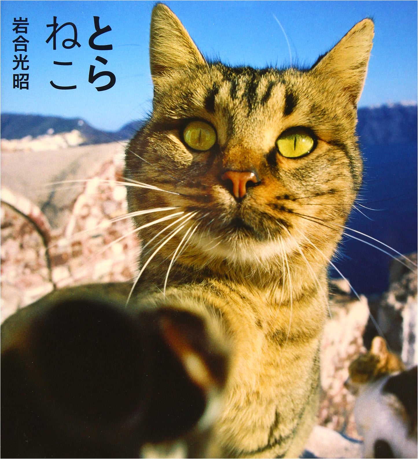 Toraneko: Iwago Mitsuaki's World of Tabby Cats