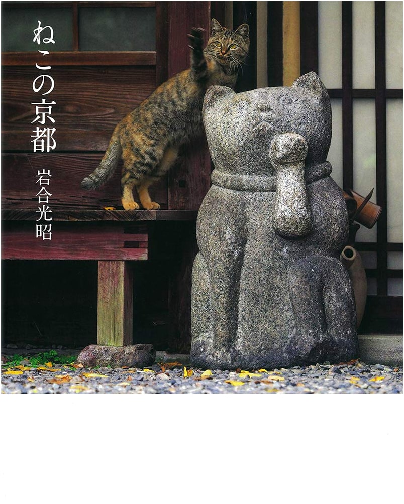 Cats of Kyoto: A Photographic Journey