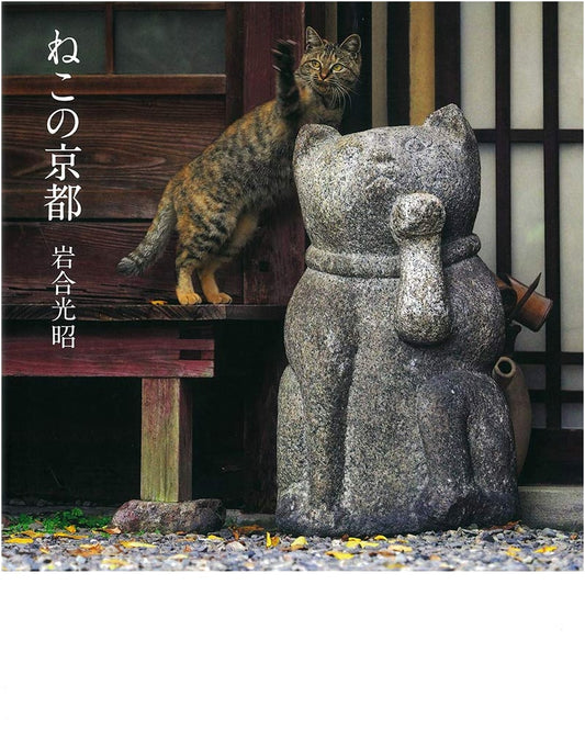 Cats of Kyoto: A Photographic Journey