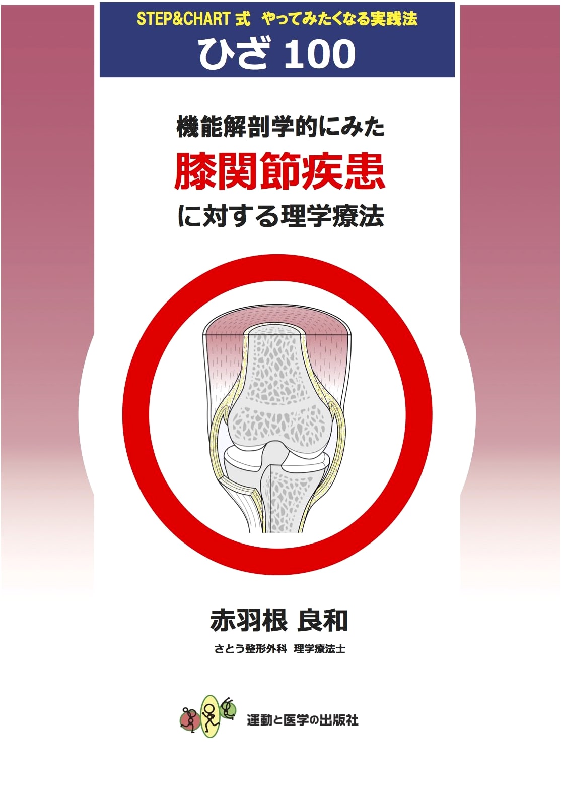 Physical Therapy for Knee Joint Disorders: A Functional Anatomy Approach (Clinician Series)