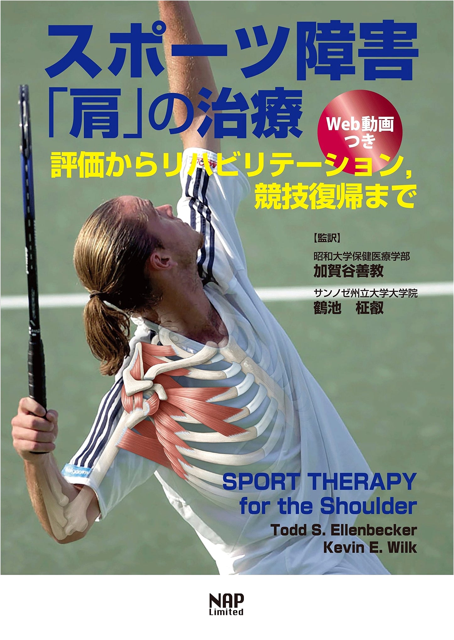 Shoulder Sports Injury Treatment: Assessment, Rehab, & Return to Play (Web Videos)