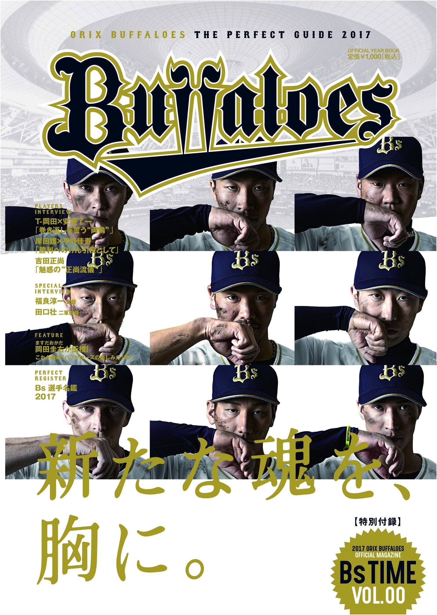Orix Buffaloes: The Perfect Guidebook for Fans