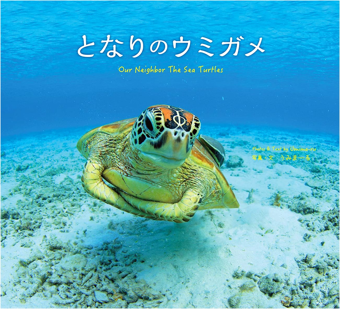 Our Neighbor the Sea Turtles: Umimaru Photography Collection