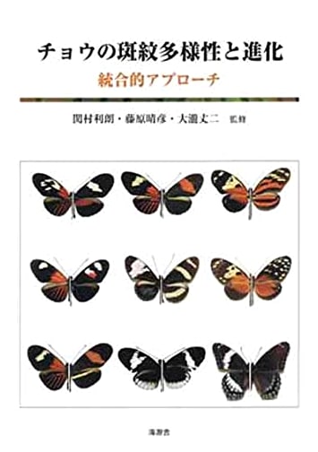 Butterfly Markings Diversity and Evolution: An Integrated Approach