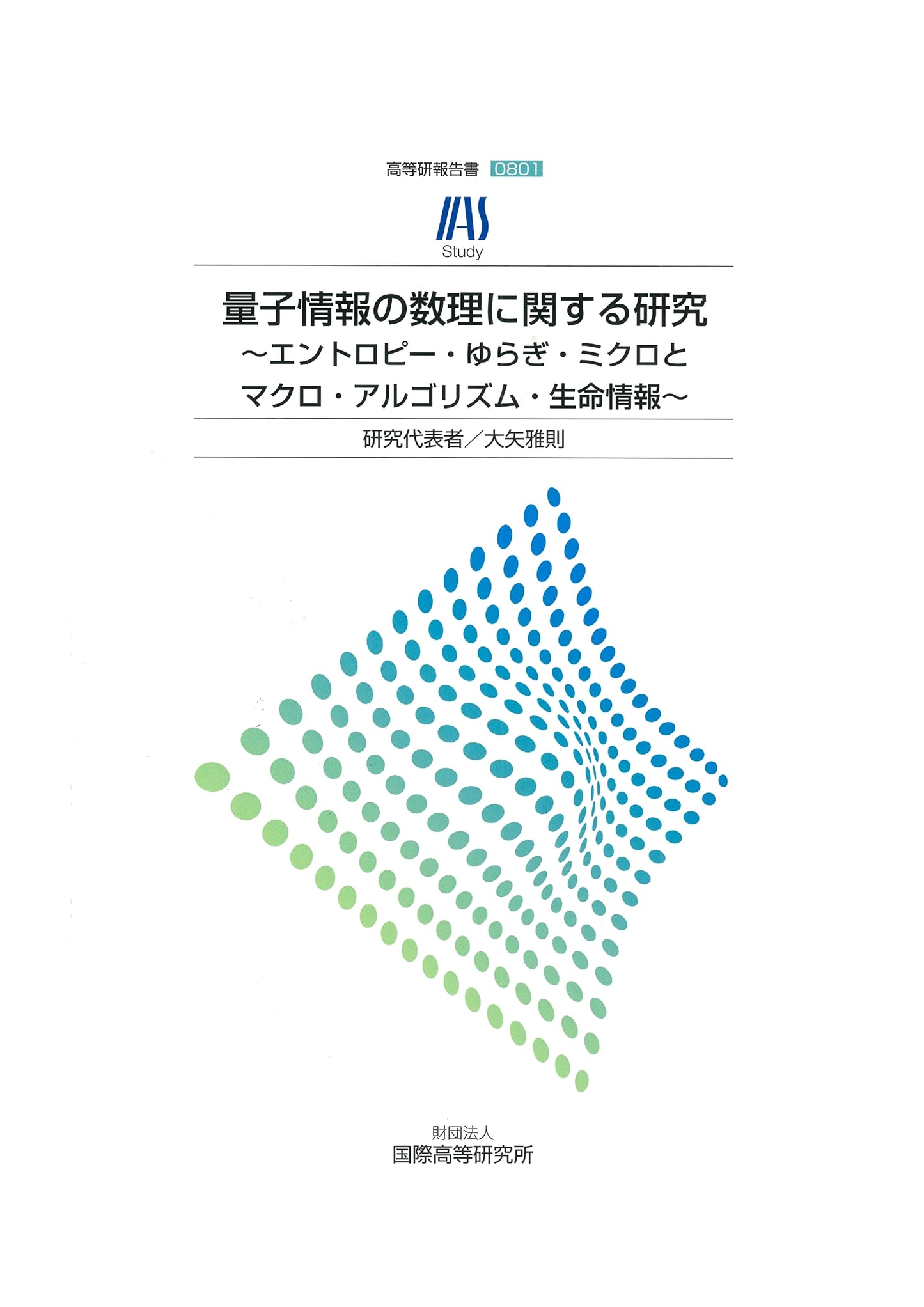 Research on the Mathematics of Quantum Information: Entropy, Fluctuations, Micro & Macro, Algorithms, Bioinformation - IIAS Report 0801