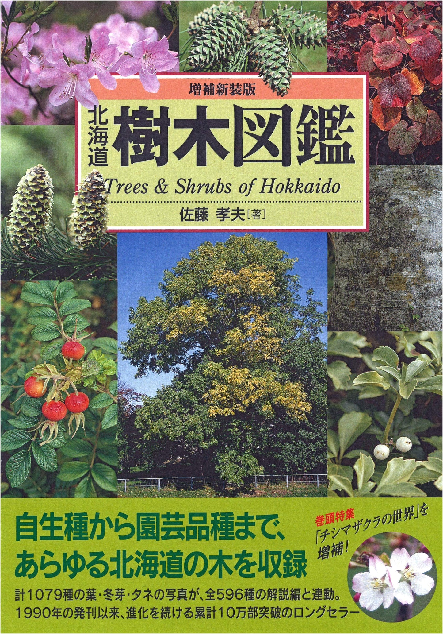 Hokkaido Tree Field Guide: Expanded & Revised Edition (ALICE Field Library)