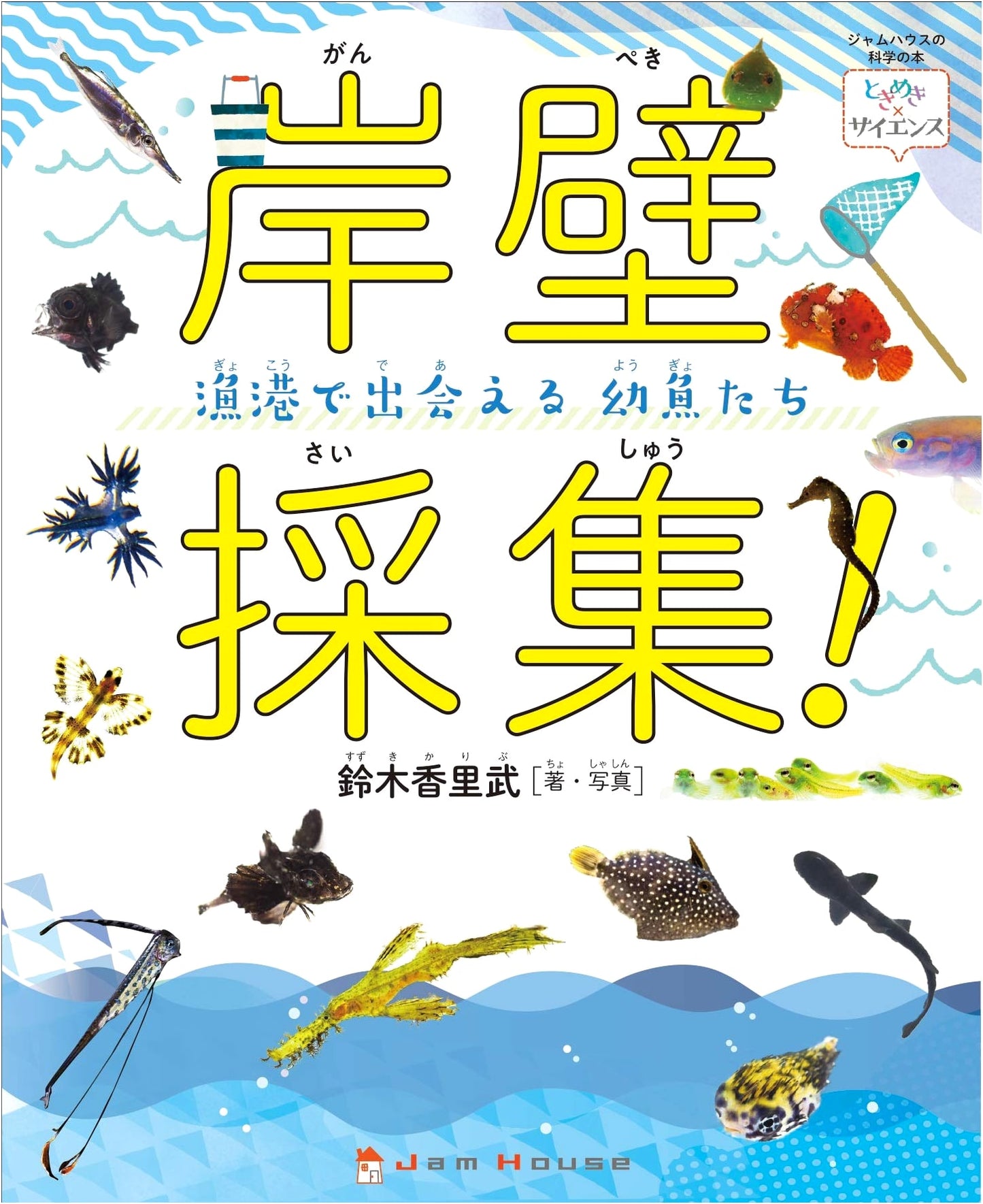 Seashore Collection! Young Fish Encountered in Fishing Ports (Heart-Pounding Science)